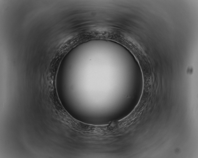 X0000098121013200804041403