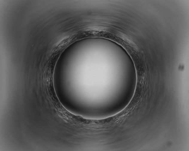 X0000098121014200804041403