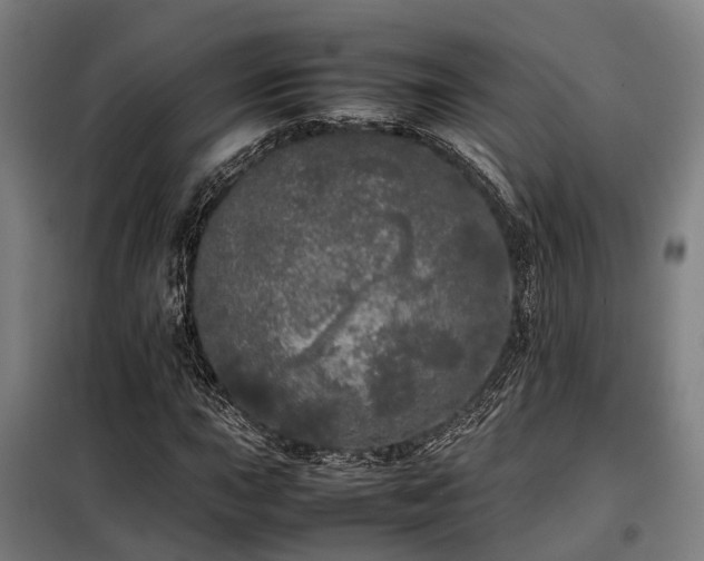 X0000098121015200804041403