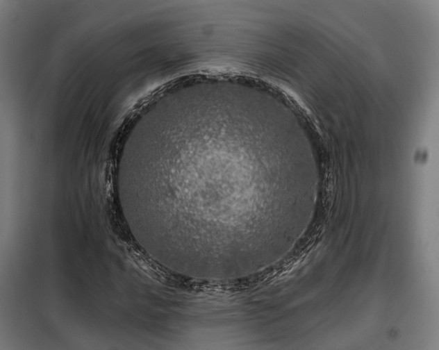 X0000098121016200804041403