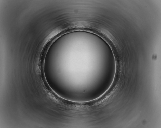 X0000098121018200804041403