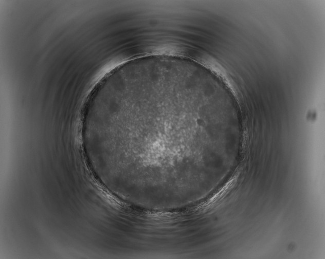X0000098121019200804041403