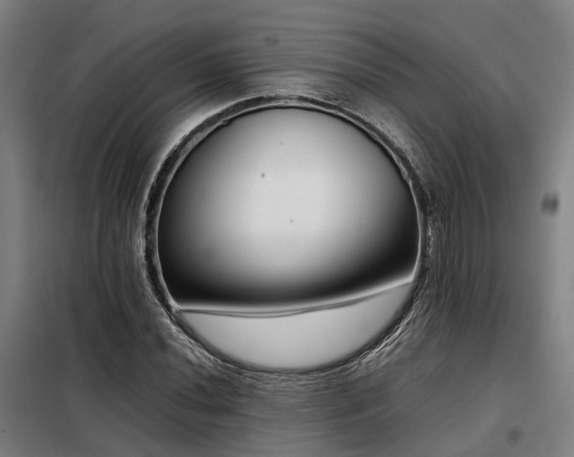 X0000098121020200804041403