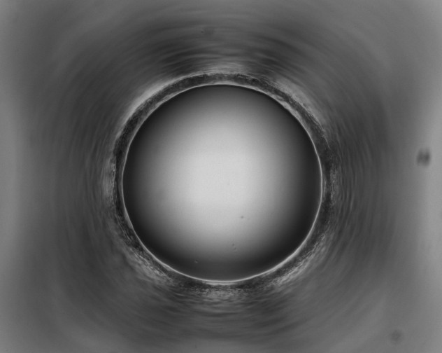 X0000098121021200804041403