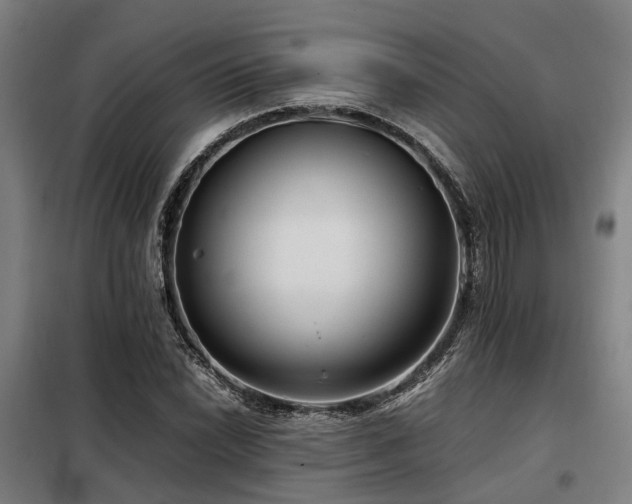 X0000098121022200804041403
