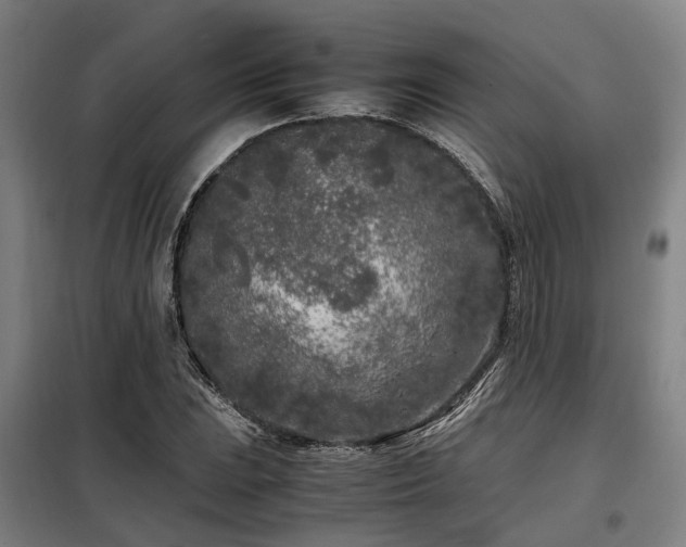 X0000098121023200804041403