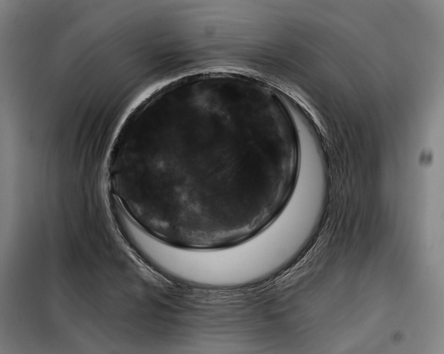 X0000098121024200804041403