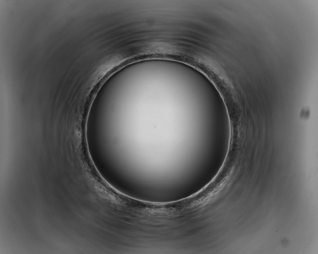X0000098121025200804041403
