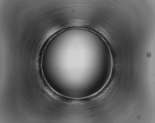 X0000098121026200804041403