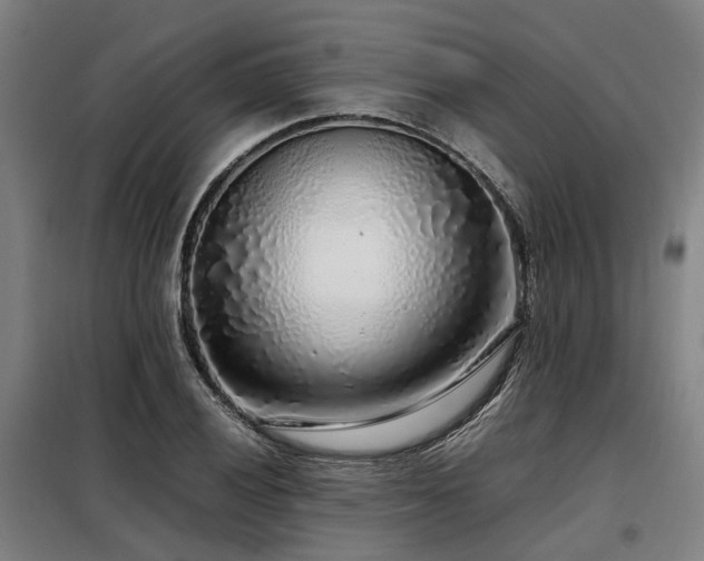 X0000098121028200804041403