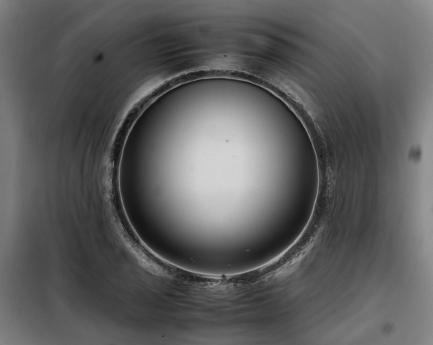X0000098121029200804041403