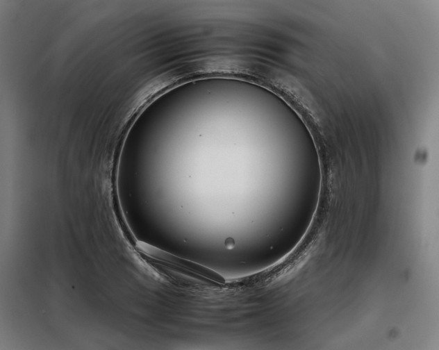 X0000098121033200804041403