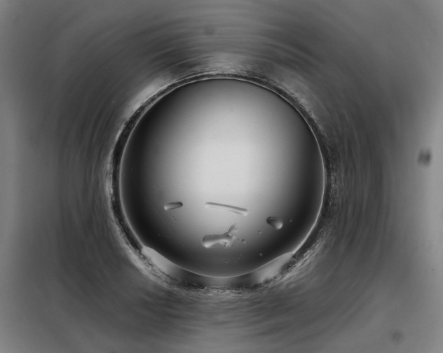 X0000098121034200804041403
