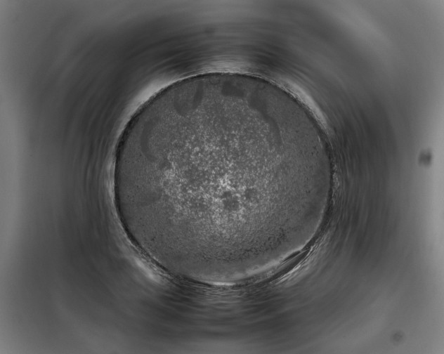 X0000098121035200804041403