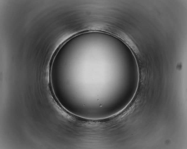 X0000098121036200804041403