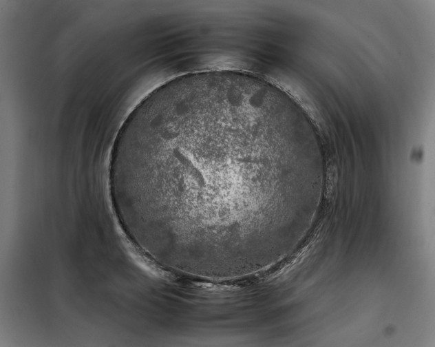 X0000098121039200804041403