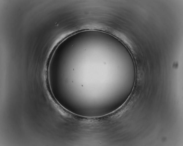 X0000098121040200804041403