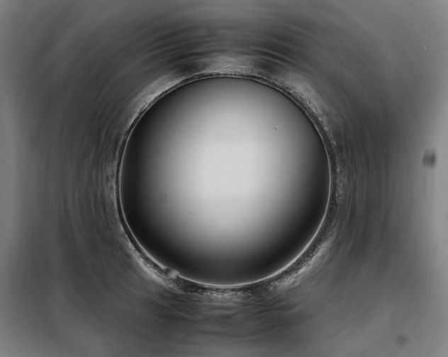 X0000098121041200804041403