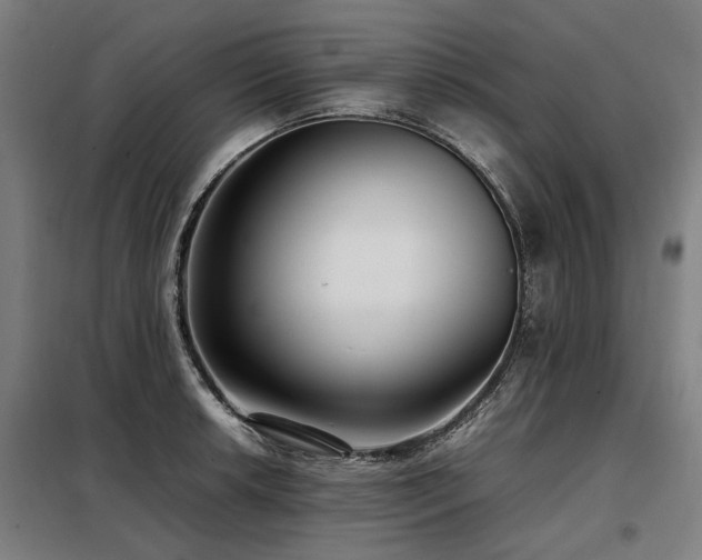 X0000098121042200804041403