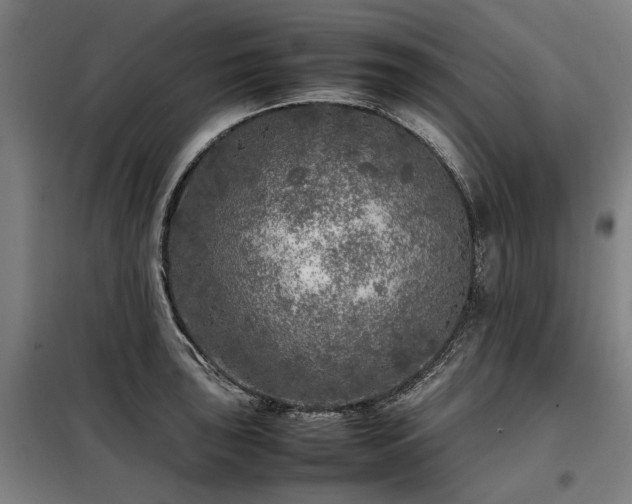 X0000098121043200804041403