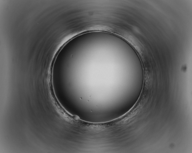 X0000098121044200804041403