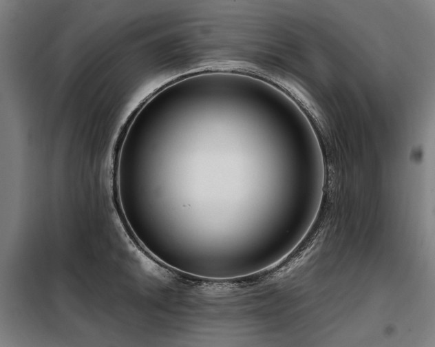 X0000098121046200804041403
