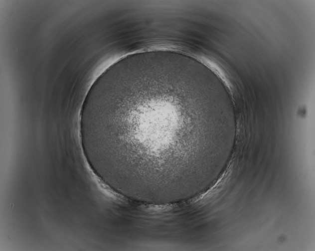 X0000098121047200804041403