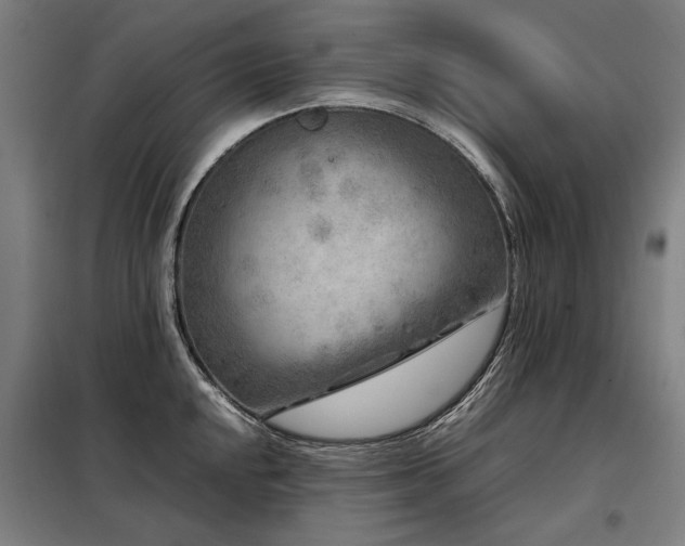 X0000098121048200804041403
