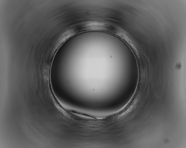 X0000098121049200804041403