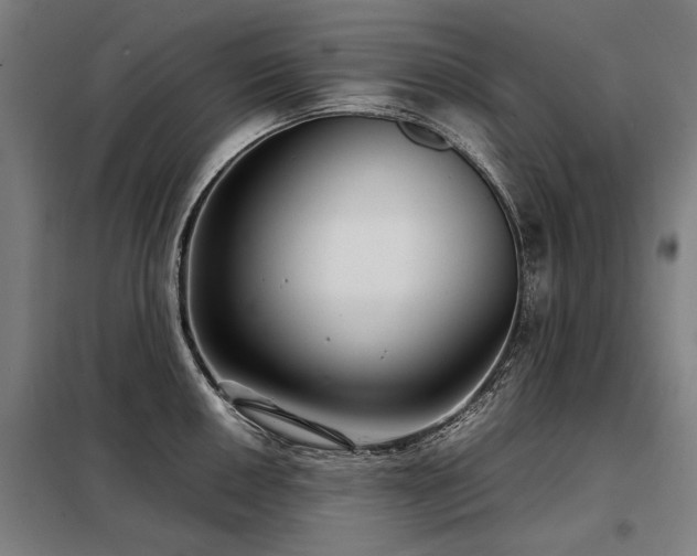 X0000098121050200804041403