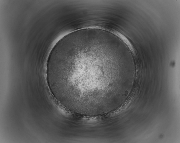 X0000098121051200804041403