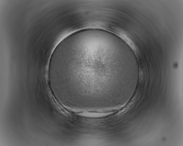 X0000098121052200804041403