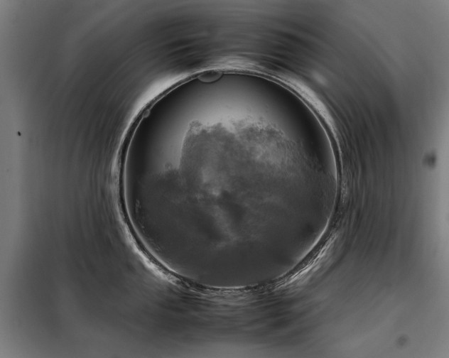 X0000098121053200804041403