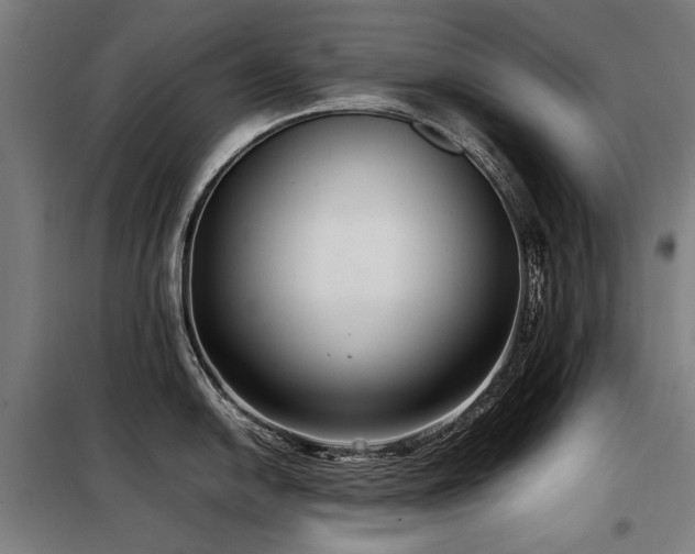 X0000098121054200804041403