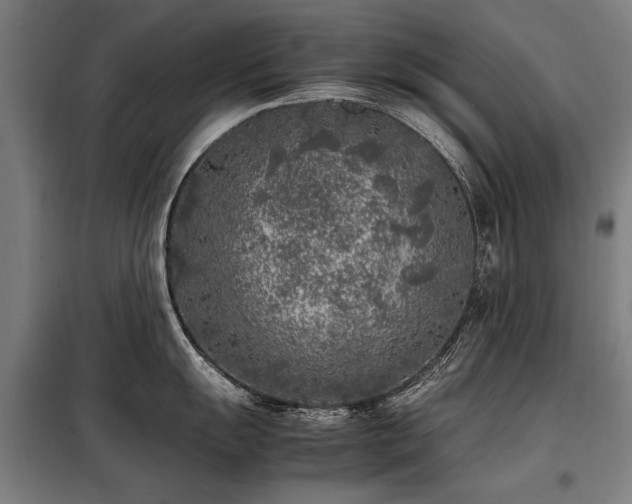 X0000098121055200804041403