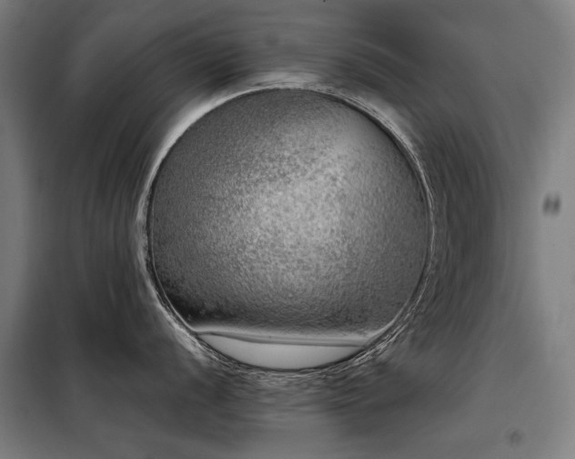 X0000098121056200804041403