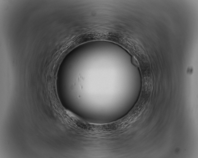 X0000098121057200804041403