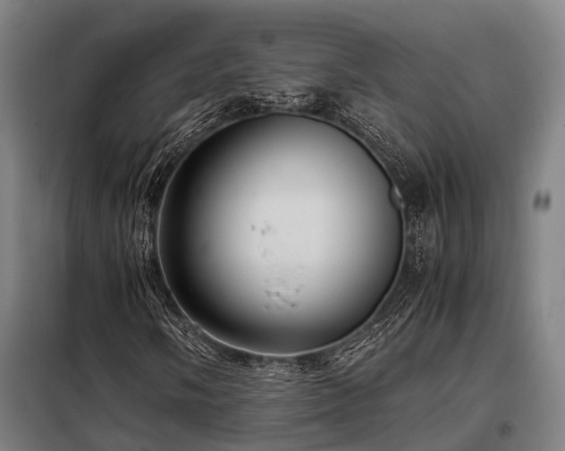 X0000098121058200804041403