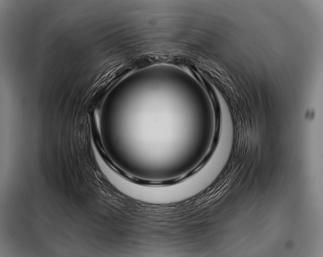 X0000098121060200804041403