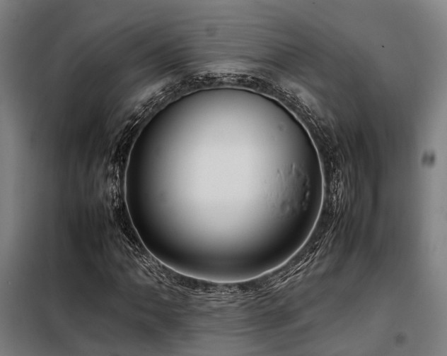 X0000098121062200804041403