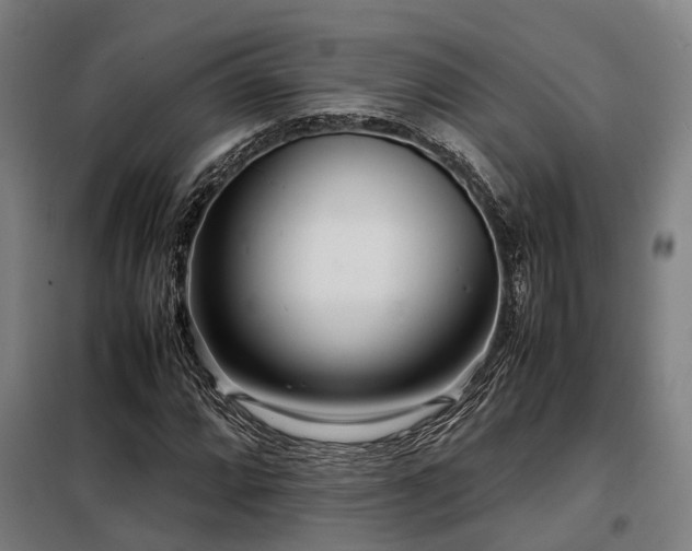 X0000098121064200804041403