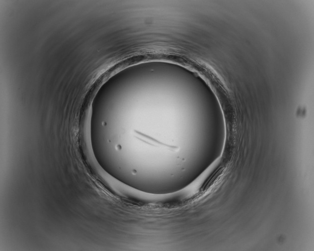 X0000098121065200804041403