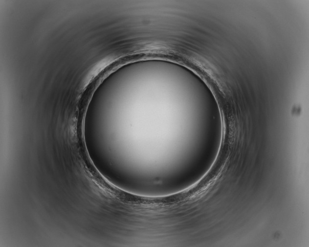 X0000098121066200804041403