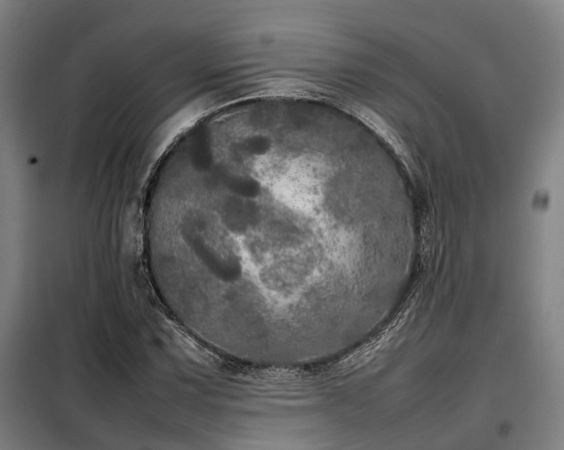 X0000098121067200804041403