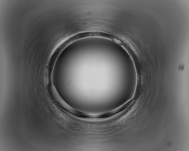 X0000098121069200804041402
