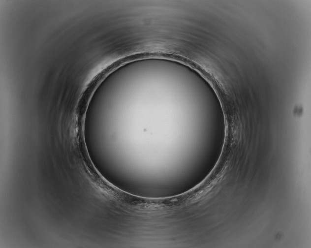 X0000098121070200804041402