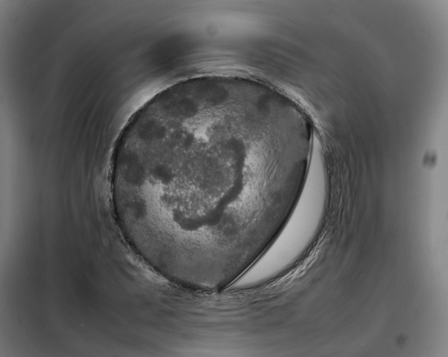 X0000098121071200804041402