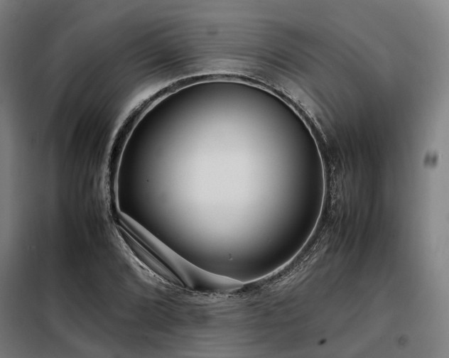 X0000098121072200804041402