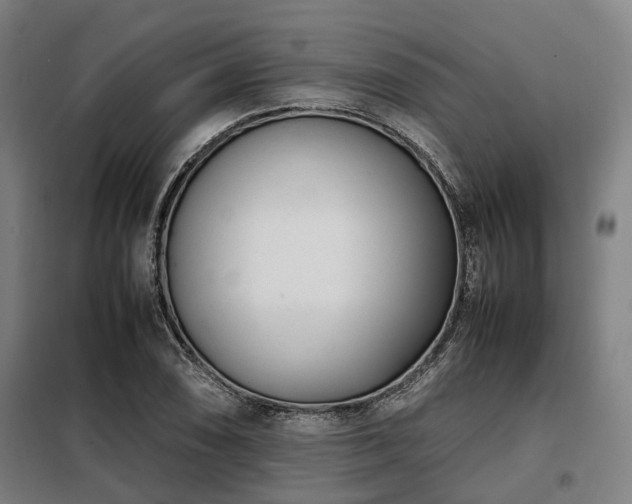 X0000098121074200804041402
