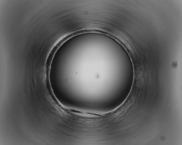 X0000098121076200804041402